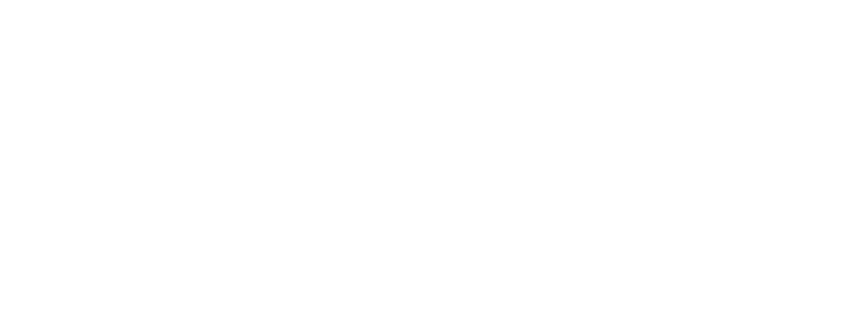Property Inspectors